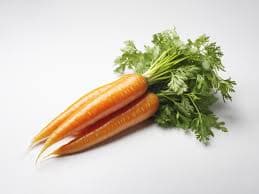 Carrot